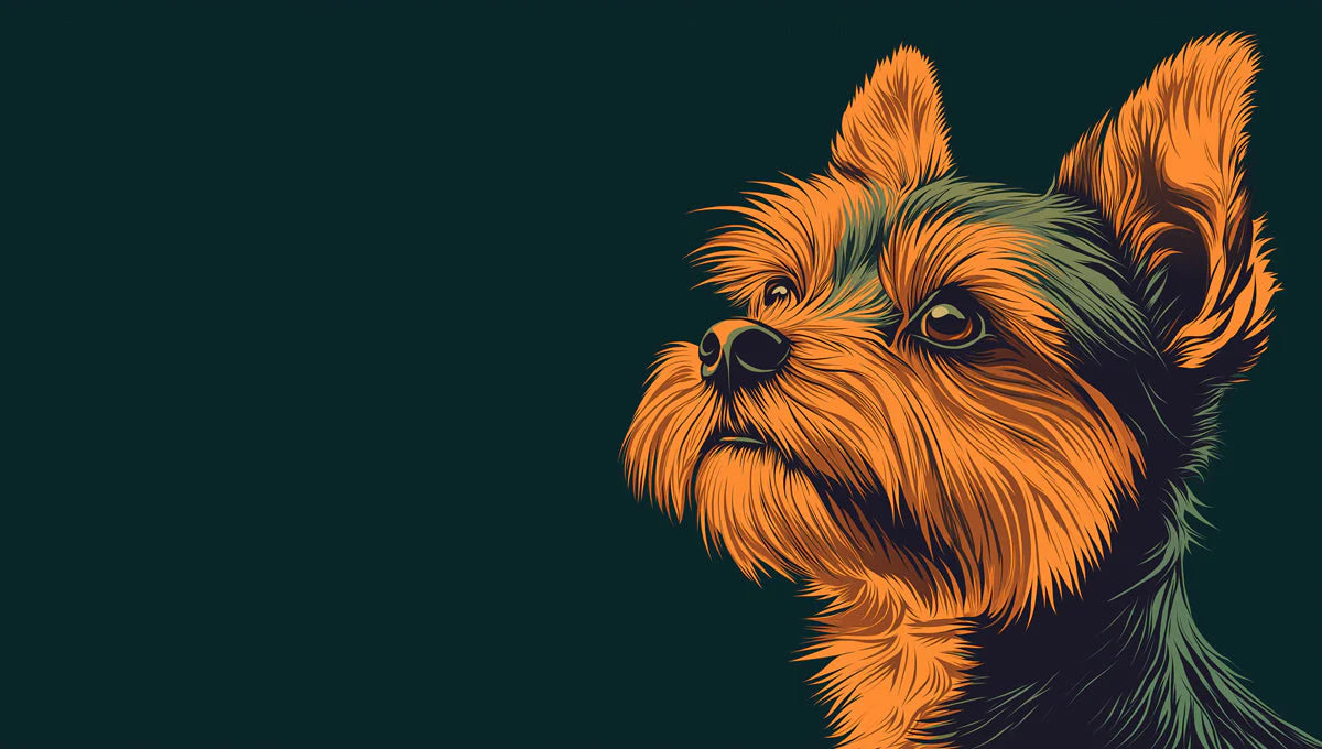 Yorkshire Terrier Portrait Mural Wallpaper — Deep Teal and Amber Mural Wallpaper - room preview 02