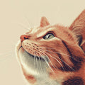 Ginger Cat Portrait Mural Wallpaper — Soft Illustrative Style Mural Wallpaper - room preview 02