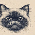 Persian Cat Sketch Mural Wallpaper — Artistic Monochrome Design Mural Wallpaper - room preview 02