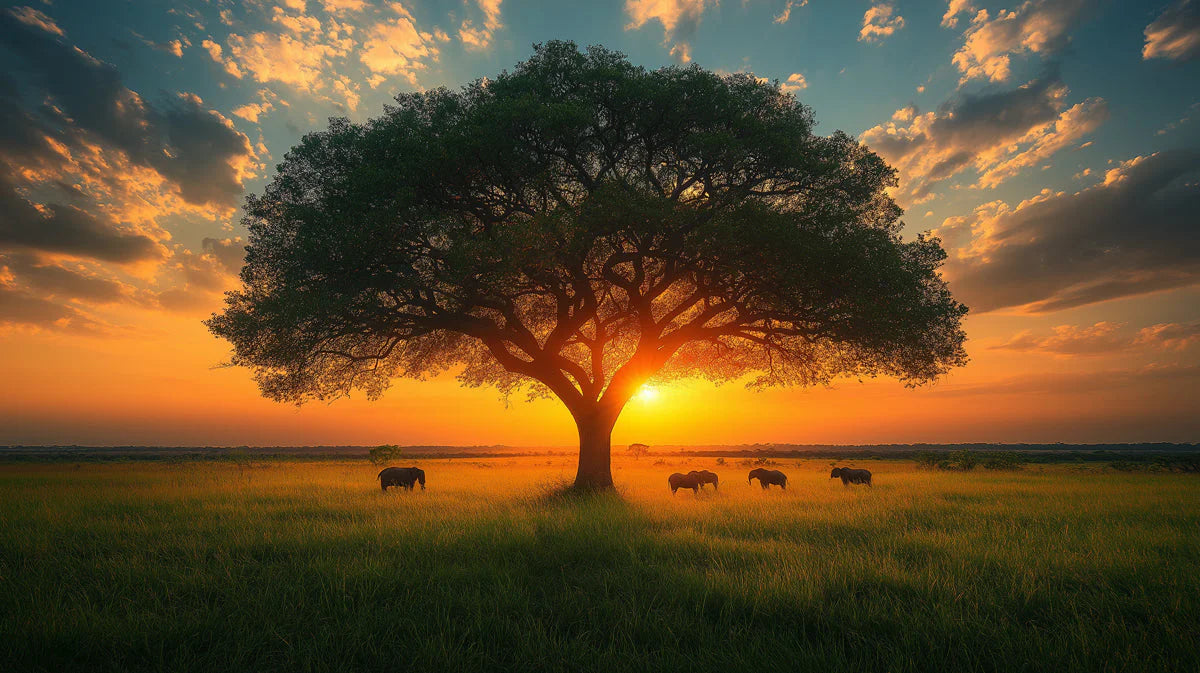 African Savannah Sunset Mural Wallpaper for Expansive Wall Spaces Mural Wallpaper - room preview 02