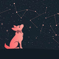 Stargazing Fox Mural Wallpaper — Cosmic Night Sky Illustration Mural Wallpaper - room preview 02