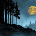 Midnight Forest Moon Mural Wallpaper — Dark Landscape Aesthetic Mural Wallpaper - room preview 02