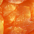 Sun-Drenched Amber Leaf Mural Wallpaper — Organic Botanical Design Mural Wallpaper - room preview 02