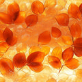 Autumn Leaves Mural Wallpaper — Radiant Copper and Amber Tones Mural Wallpaper - room preview 02
