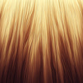 Golden Wheat Field Mural Wallpaper — Organic Linear Texture Mural Wallpaper - room preview 02