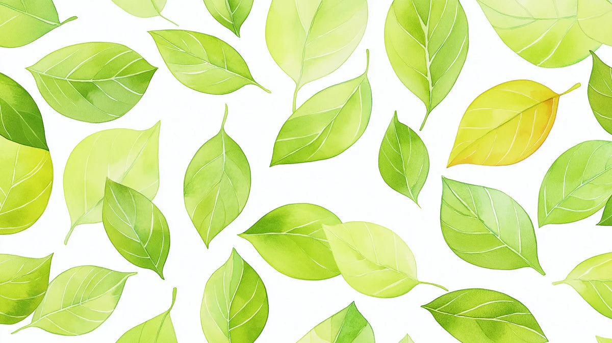 Watercolor Leaf Mural Wallpaper — Fresh Botanical Print Mural Wallpaper - room preview 02