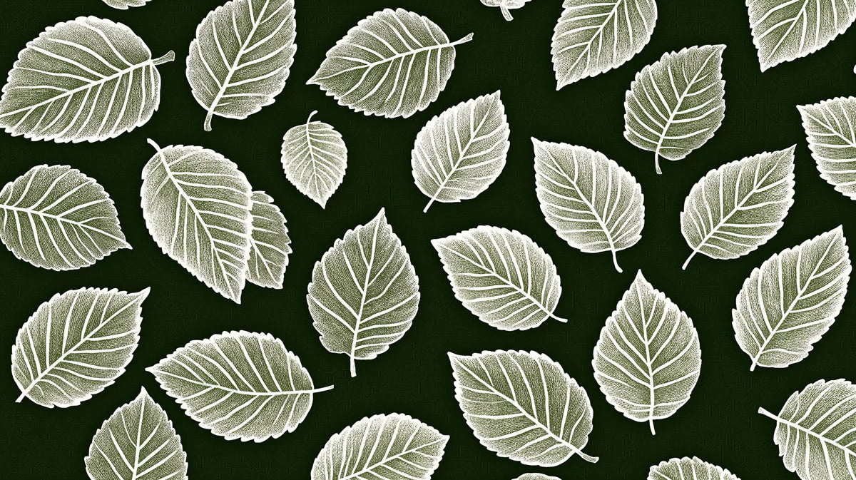 Minimalist Botanical Leaf Mural Wallpaper — Dark Forest Green Mural Wallpaper - room preview 02