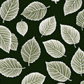 Minimalist Botanical Leaf Mural Wallpaper — Dark Forest Green Mural Wallpaper - room preview 02