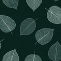 Minimalist Leaf Skeleton Mural Wallpaper — Deep Forest Green Mural Wallpaper - room preview 02
