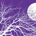 Moonlit Bare Branches Mural Wallpaper — Whimsical Night Scene Mural Wallpaper - room preview 02