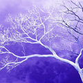 Starlit Violet Branch Mural Wallpaper — Whimsical Night Scenery Mural Wallpaper - room preview 02