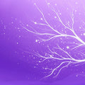 Starlit Violet Branch Mural Wallpaper — Whimsical Night Scene Mural Wallpaper - room preview 02