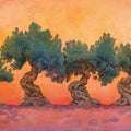 Twisted Olive Grove Mural Wallpaper — Warm Sunset Landscape Mural Wallpaper - room preview 02