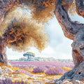 Gnarled Olive Grove Mural Wallpaper — Mediterranean Rustic Scenic Mural Wallpaper - room preview 02