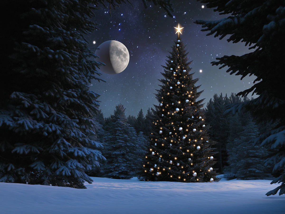Moonlit Christmas Tree Mural Wallpaper —Midnight Winter Scene Mural Wallpaper - room preview 02