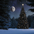 Moonlit Christmas Tree Mural Wallpaper —Midnight Winter Scene Mural Wallpaper - room preview 02