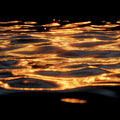 Golden Water Ripples Mural Wallpaper — Moody Abstract Design Mural Wallpaper - room preview 02
