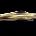 Fluid Golden Light Wave Mural Wallpaper — Modern Abstract Art Mural Wallpaper - room preview 02