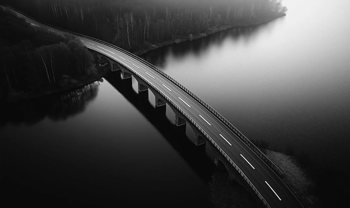 Aerial Bridge Over Water Mural Wallpaper — Monochromatic Landscape Mural Wallpaper - room preview 02