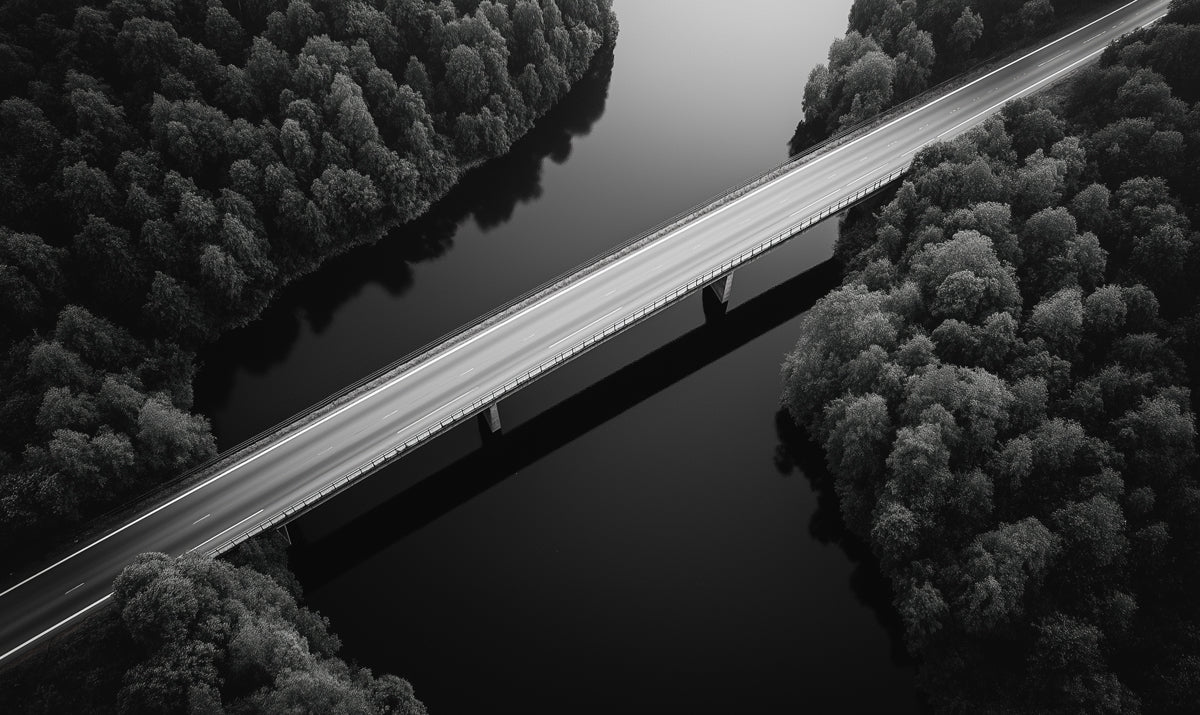 Aerial Bridge Landscape Mural Wallpaper — Monochromatic Modern Mural Wallpaper - room preview 02