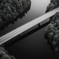 Aerial Bridge Landscape Mural Wallpaper — Monochromatic Modern Mural Wallpaper - room preview 02