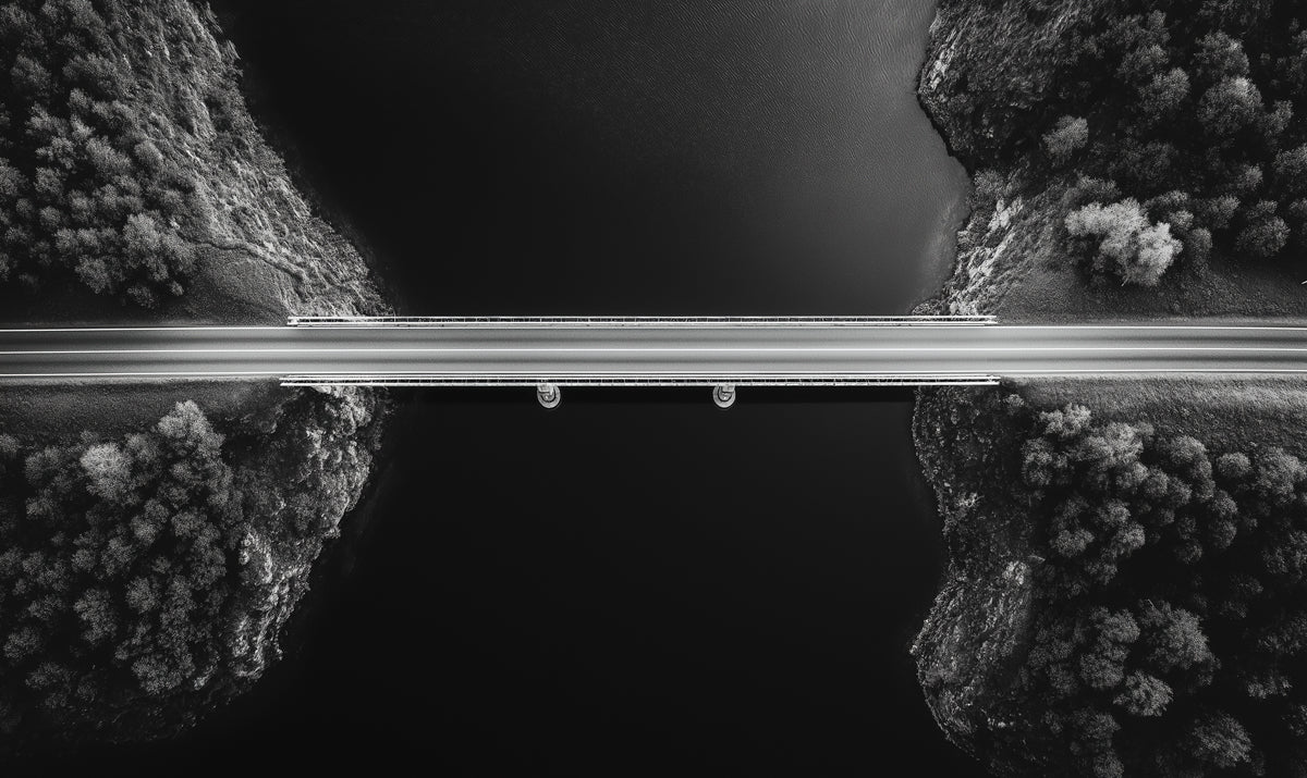 Aerial River Bridge Mural Wallpaper — Modern Monochrome Design Mural Wallpaper - room preview 02