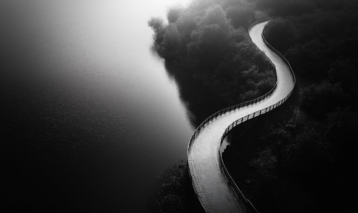 Winding Forest Path Mural Wallpaper — Monochromatic Landscape Mural Wallpaper - room preview 02