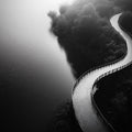 Winding Forest Path Mural Wallpaper — Monochromatic Landscape Mural Wallpaper - room preview 02