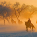 Misty Equestrian Forest Mural Wallpaper — Golden Hour Scenic Mural Wallpaper - room preview 02