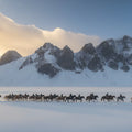 Winter Mountain Riders Mural Wallpaper —Scenic Alpine Landscape Mural Wallpaper - room preview 02