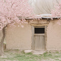 Cherry Blossom Cottage Mural Wallpaper — Whimsical Nature Scene Mural Wallpaper - room preview 02