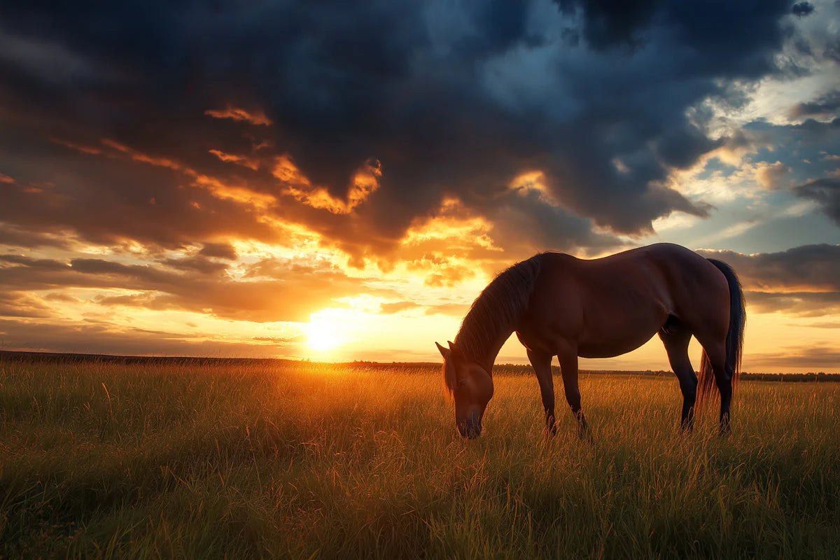 Grazing Horse at Sunset Mural Wallpaper — Atmospheric Landscape Mural Wallpaper - room preview 02