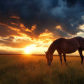 Grazing Horse at Sunset Mural Wallpaper — Atmospheric Landscape Mural Wallpaper - room preview 02