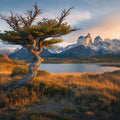 Patagonia Mountain Lake Mural Wallpaper — Rustic Natural Landscape Mural Wallpaper - room preview 02