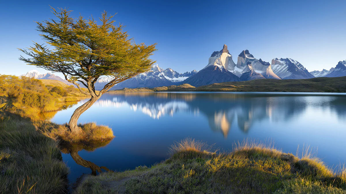 Patagonian Solitary Tree Mountain Mural Wallpaper — Scenic Landscape Mural Wallpaper - room preview 02