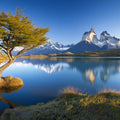 Patagonian Solitary Tree Mountain Mural Wallpaper — Scenic Landscape Mural Wallpaper - room preview 02