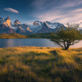 Patagonia Mountain Lake Mural Wallpaper — Panoramic Landscape Mural Wallpaper - room preview 02