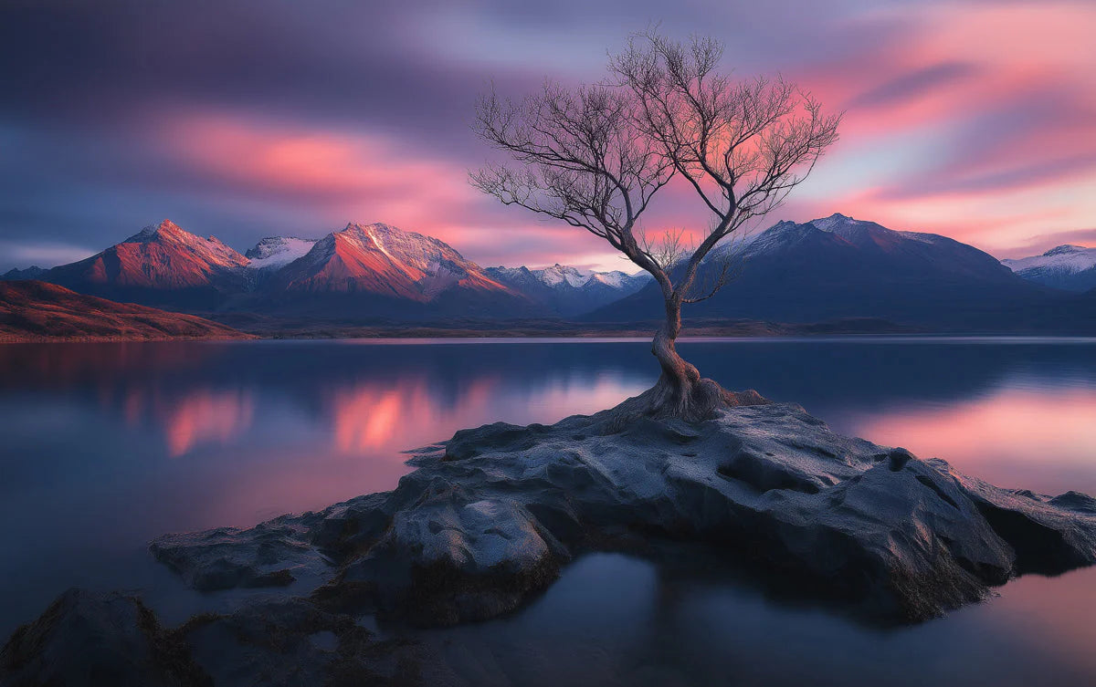 Lone Tree Mountain Sunset Landscape Mural Wallpaper - room preview 02