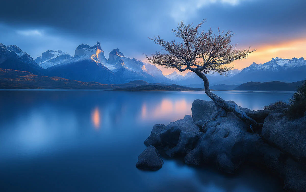 Lone Tree Mountain Lake Mural Wallpaper — Atmospheric Landscape Mural Wallpaper - room preview 02