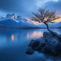 Lone Tree Mountain Lake Mural Wallpaper — Atmospheric Landscape Mural Wallpaper - room preview 02