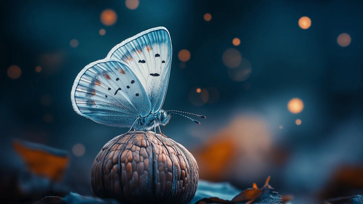 Ethereal Blue Butterfly Mural Wallpaper — Night Garden Pattern Mural Wallpaper - room preview 02