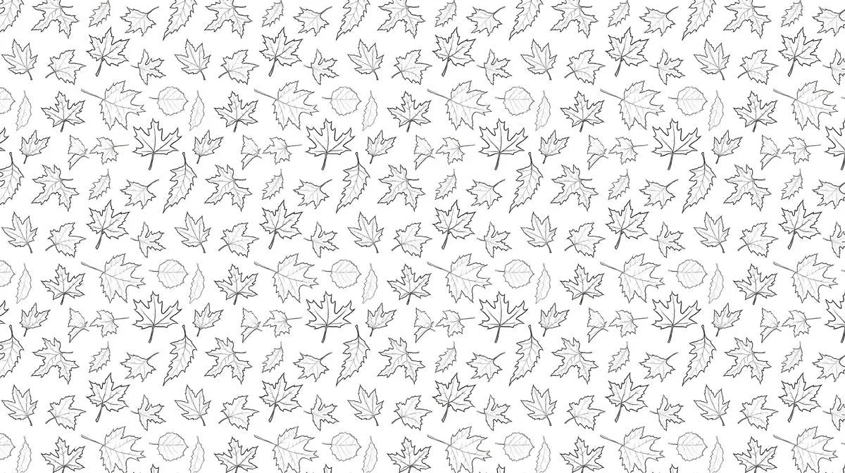 Minimalist Maple Leaf Mural Wallpaper — Line Art Graphic Mural Wallpaper - room preview 02