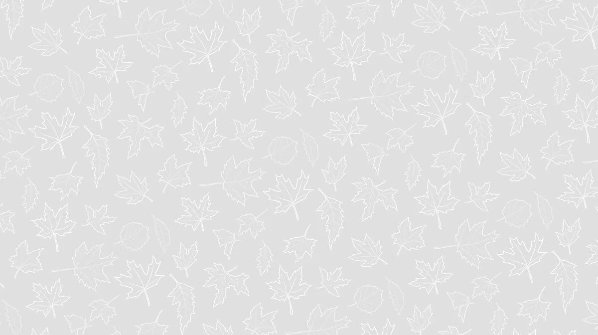 Minimalist Maple Leaf Mural Wallpaper — Modern Sketch Style Mural Wallpaper - room preview 02