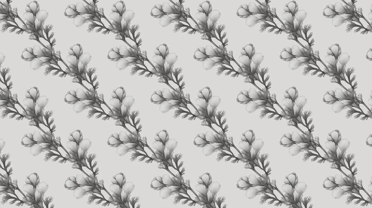 Monochrome Botanical Mural Wallpaper — Minimalist Floral Pattern Mural Wallpaper - room preview 02