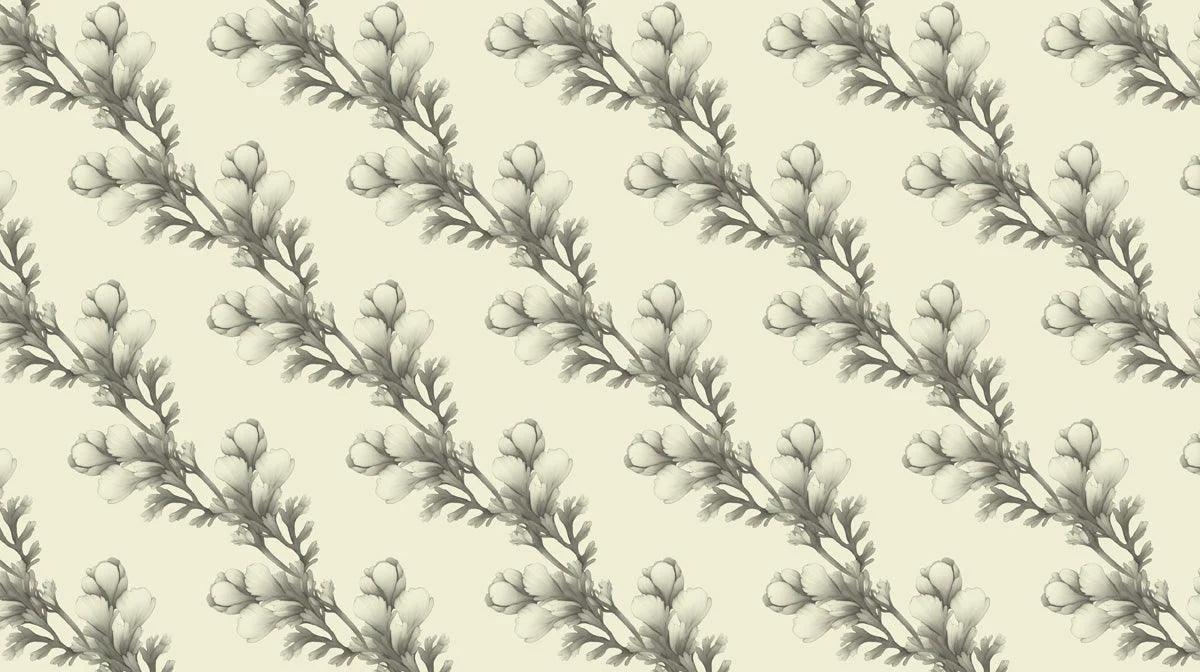 Vintage Botanical Sketch Mural Wallpaper — Soft Monochrome Mural Wallpaper - room preview 02