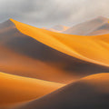 Desert Dune Solitude Mural Wallpaper — Minimalist Landscape Mural Wallpaper - room preview 02