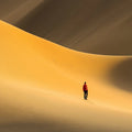 Solitary Desert Dune Mural Wallpaper — Minimalist Wanderlust Style Mural Wallpaper - room preview 02