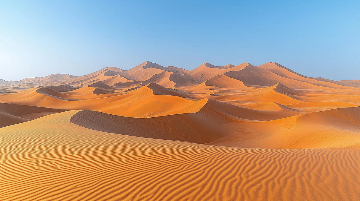 Golden Desert Sands Mural Wallpaper — Minimalist Landscape Mural Wallpaper - room preview 02