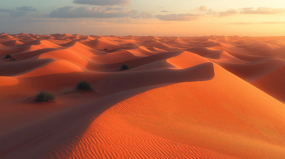 Golden Desert Sands Mural Wallpaper — Warm Sunset Horizon Mural Wallpaper - room preview 02