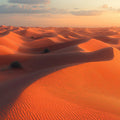 Golden Desert Sands Mural Wallpaper — Warm Sunset Horizon Mural Wallpaper - room preview 02